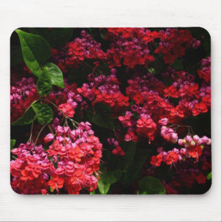 Pagoda Flowers Colorful Red and Pink Mouse Pad