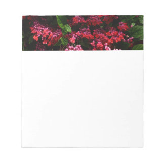 Pagoda Flowers Colorful Red and Pink Notepad