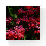 Pagoda Flowers Colorful Red and Pink Paperweight