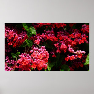 Pagoda Flowers Colorful Red and Pink Poster
