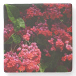 Pagoda Flowers Colorful Red and Pink Stone Coaster