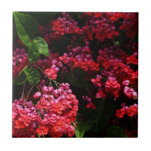 Pagoda Flowers Colorful Red and Pink Tile