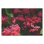 Pagoda Flowers Colorful Red and Pink Tissue Paper