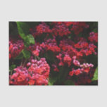 Pagoda Flowers Colorful Red and Pink Tissue Paper