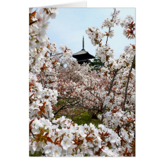 Pagoda in Sakura Garden Cards (Front)