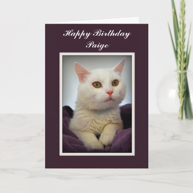 Paige Happy Birthday White Cat Card (Front)