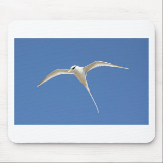 Paille birds in Queue Mauritius Mouse Pad