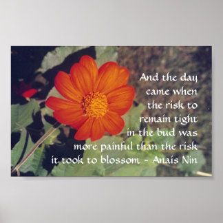 Pain and Risk - Anais Nin - poster