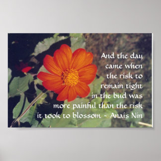 Pain and Risk - Anais Nin - poster