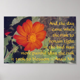 Pain and Risk - Anais Nin - poster