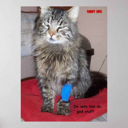 Pain Meds for kitty Poster