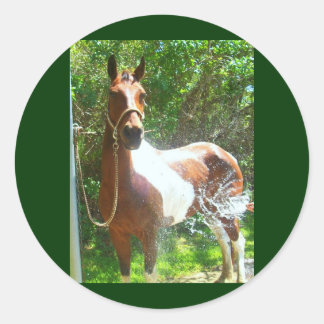 Paint Bath Classic Round Sticker