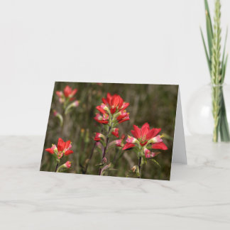 Paint Brush Card