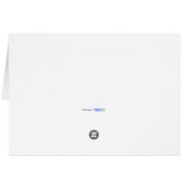 Paint brushes drying in the sunlight (Back Horizontal)