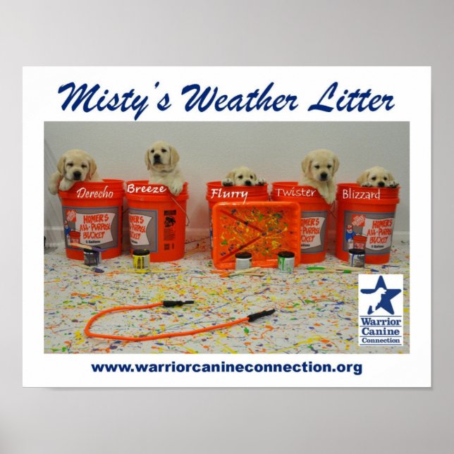Paint Bucket Puppies Poster (Front)