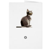 Paint by Numbers Card: Cat Cards (Back)