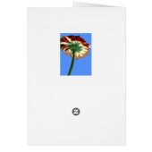 Paint by Numbers Card: Flower Cards (Back)