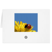 Paint by Numbers Card: Ladybird Cards (Back Horizontal)