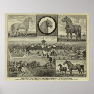 Paint Creek stock Farm, Hiattville, Kansas Poster