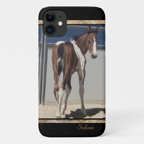 Paint Foal Photograph iPhone 11 Case