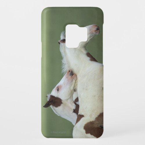 Paint Foals Playing Case_Mate Samsung Galaxy S9 Case