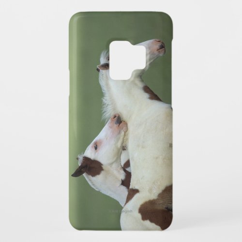 Paint Foals Playing Case_Mate Samsung Galaxy S9 Case