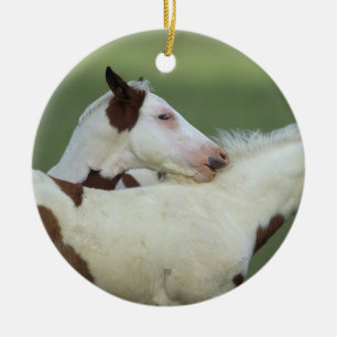 Paint Foals Playing Ceramic Ornament