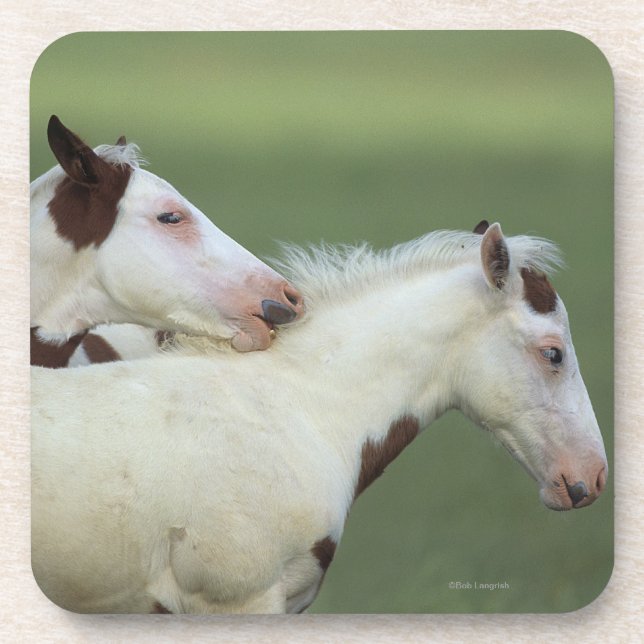 Paint Foals Playing Drink Coaster (Front)