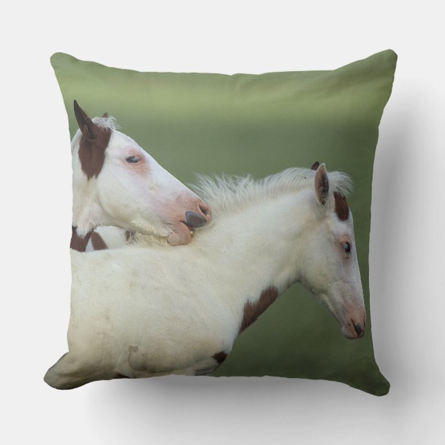 Paint Foals Playing Throw Pillow (Front)