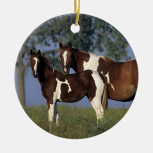 Paint HMare & Foal Ceramic Ornament