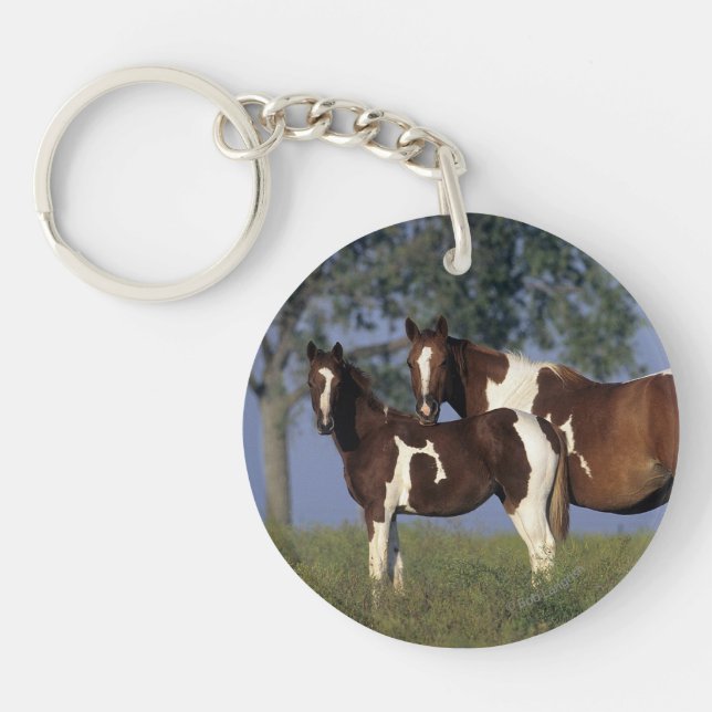 Paint HMare & Foal Keychain (Front)