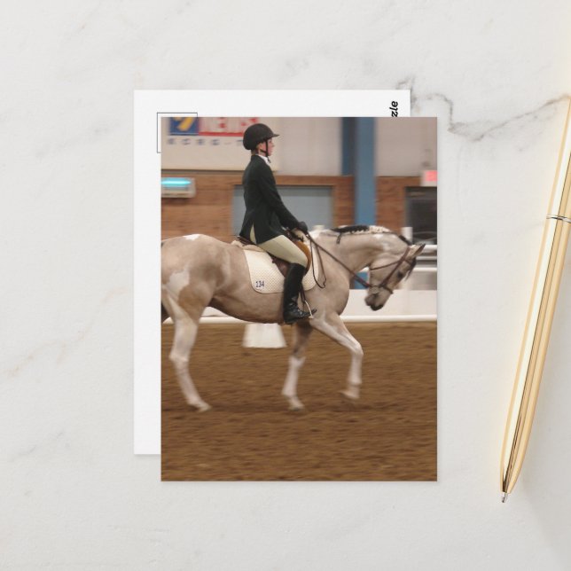 Paint Horse 134 at a Horse Show Postcard (Front/Back In Situ)