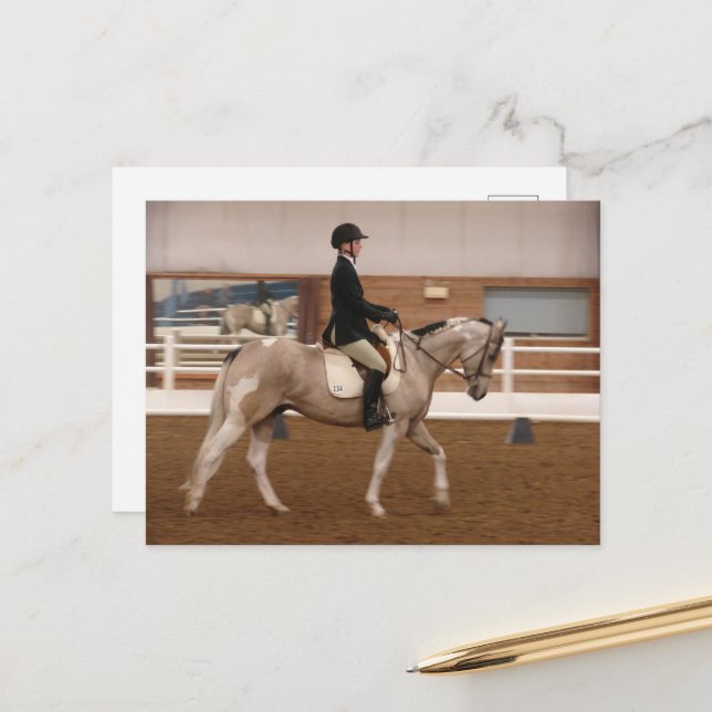 Paint Horse at a Horse Show Postcard (Front/Back In Situ)