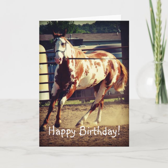 Paint Horse, Birthday Card (Front)