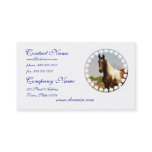 Paint Horse Business Cards