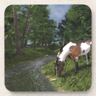 Paint Horse by Forest Stream Beverage Coaster