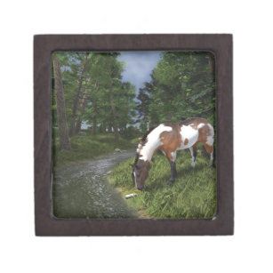 Paint Horse by Forest Stream Gift Box