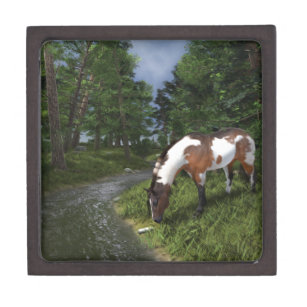 Paint Horse by Forest Stream Jewelry Box