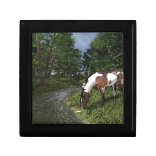 Paint Horse by Forest Stream Keepsake Box