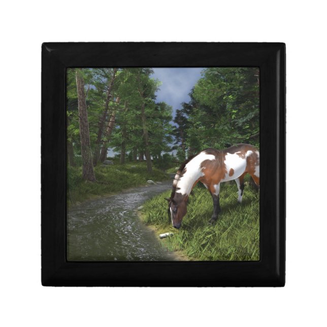 Paint Horse by Forest Stream Keepsake Box (Front)