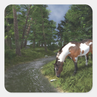 Paint Horse by Forest Stream Square Sticker