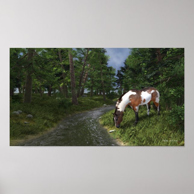 Paint Horse by the Forest Stream Poster (Front)