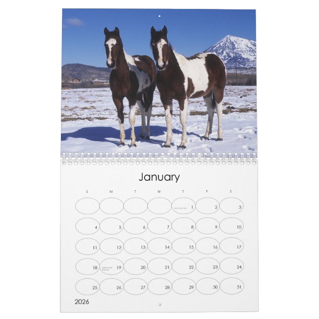 Paint Horse Calendar (Jan 2026)