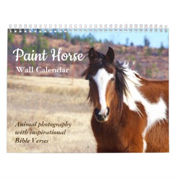 Paint Horse Calendar 2023 Animal Photography by WalnutCreekAlpacas at Zazzle