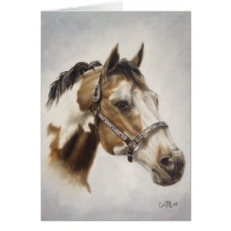Paint Horse Card