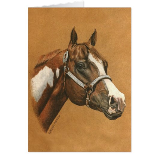 Paint Horse Cards (Front)