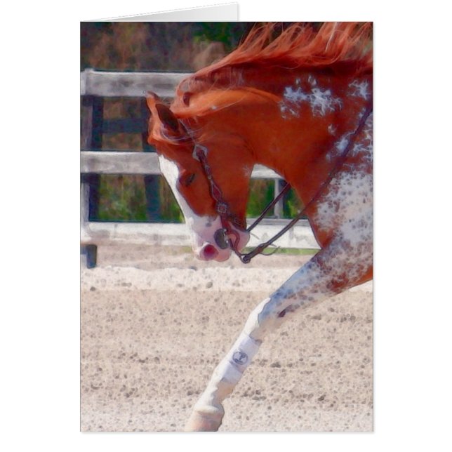 Paint Horse Cards (Front)