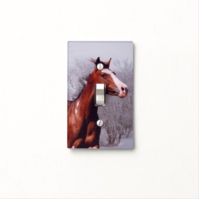 Paint Horse galloping Light Switch Cover (In Situ)