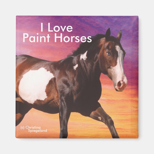 Paint Horse galloping sunrise Magnet (Front)