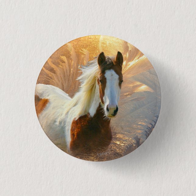 Paint Horse Gold Buttons (Front)